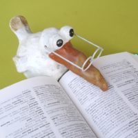 School Book Knowledge Study - MonikaP / Pixabay