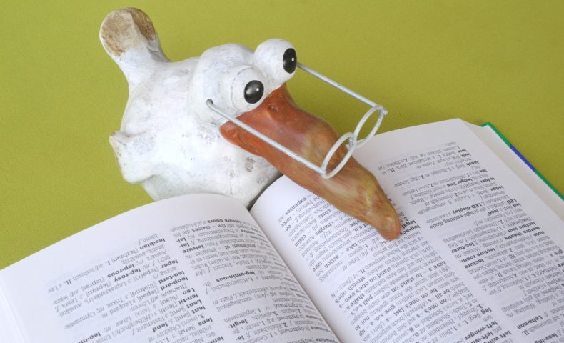 School Book Knowledge Study - MonikaP / Pixabay