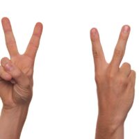 Gesture Sign Language Finger V - niekverlaan / Pixabay