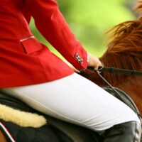Horse Rider Equestrian Equine - romavor / Pixabay